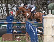 Hamood Eternal Flame TosTour 2013- S4 6625 : Arezzo Equestrian Centre, Eternal Flame, Hamood Olivia, Toscana Tour 2013, foto di Stefano Secchi ©